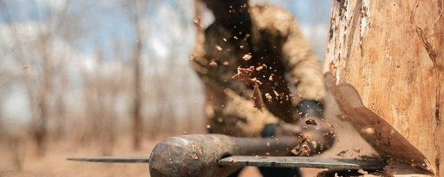 В Бурятии «черные» лесорубы заготовили древесины на 620 тысяч рублей