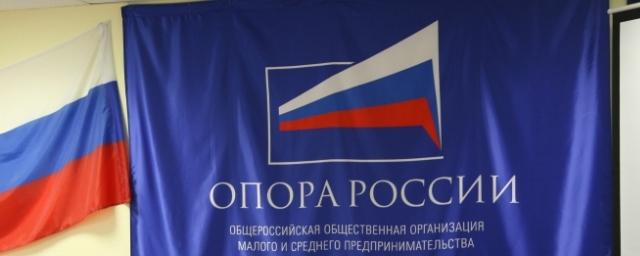 В отделении «Опоры России» завершили подготовку поправок в УК РФ