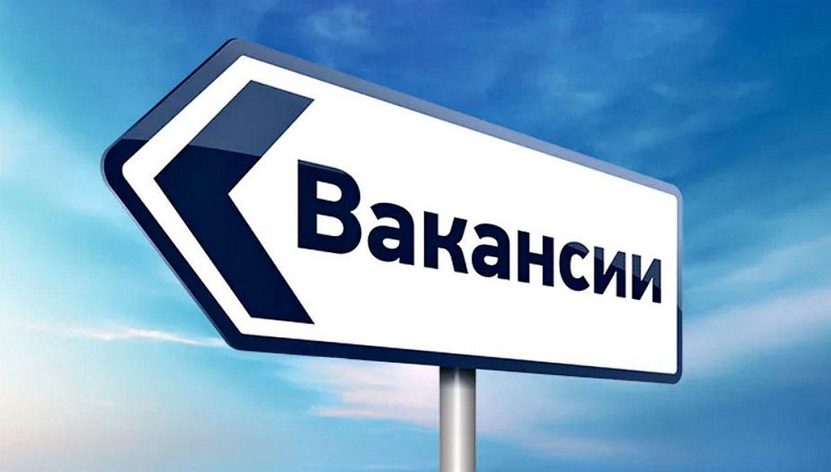 В городском центре занятости рассказали об открытых вакансиях в Красногорске