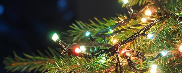 С новогодней елки в Тульской области украли 40 метров гирлянды