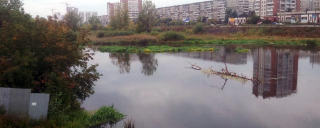 Жительница Челябинска выкинула в реку умершего младенца