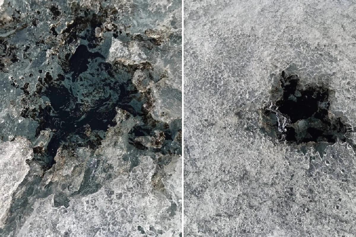 Биолог Тимофеев объяснил природу происхождения загадочных черных пятен на Байкале