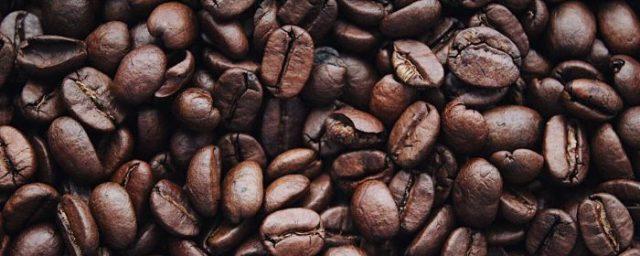 Australian Scientists Prove Coffee's Brain Benefits