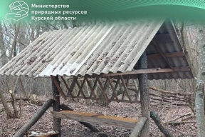 Более 150 проверок за неделю: в Курской области усилили контроль за соблюдением правил охоты