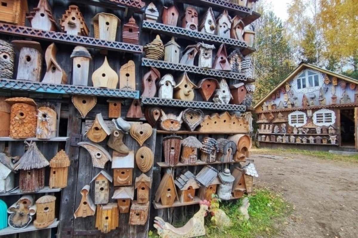 Уникальный музей скворечников под открытым небом создал педагог в Костромской области