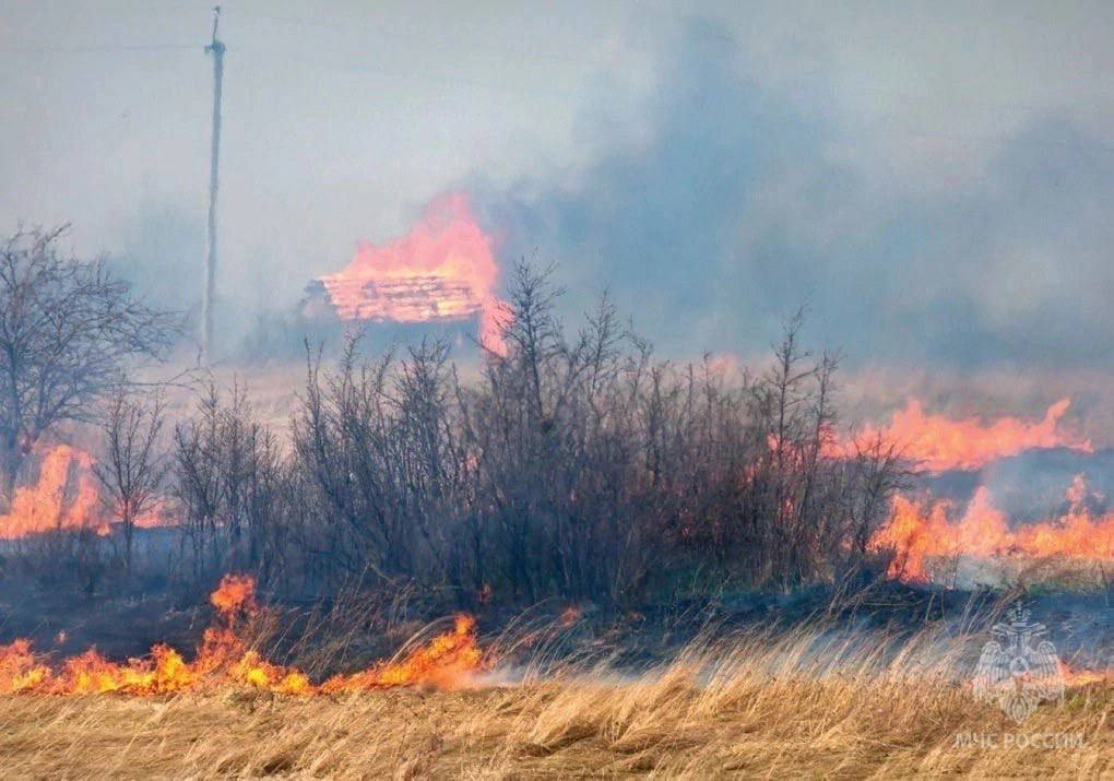 С 14 июня в Новгородской области вводят чрезвычайный класс пожарной опасности