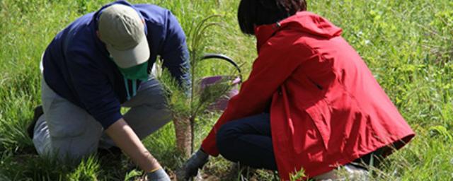 Руслан Болотов поучаствовал в акции «Посади дерево - подари планете жизнь»