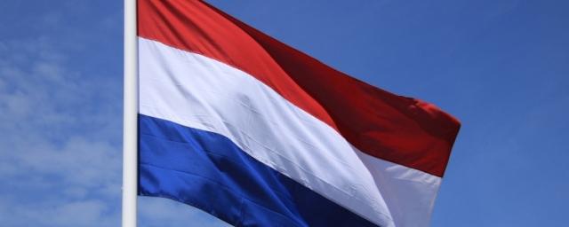 Техэксперт обвинил Нидерланды в двуличии в отношениях с Россией