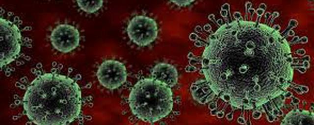 В Приморском крае зафиксировали еще 71 случай коронавируса