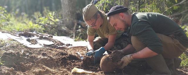 В Вологодской области обнаружили останки погибших воинов ВОВ