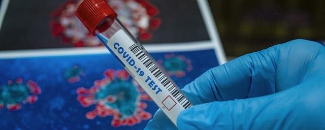 В Сахалинской области за сутки выявили 29 случаев коронавируса