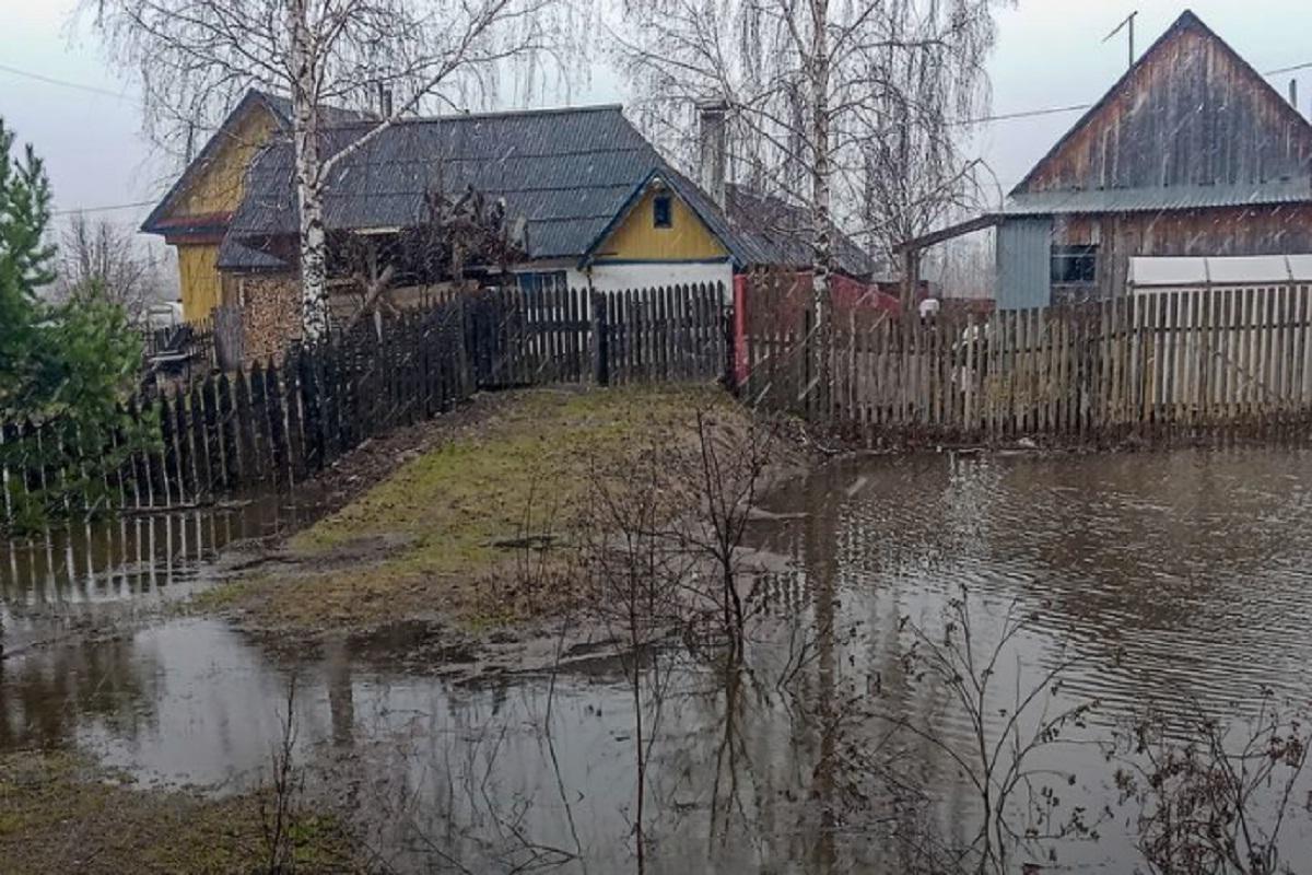 Паводок в Пермском крае подтопил 43 участка и мост