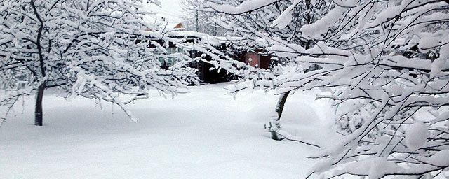 На выходные в Перми синоптики прогнозируют до -10°С