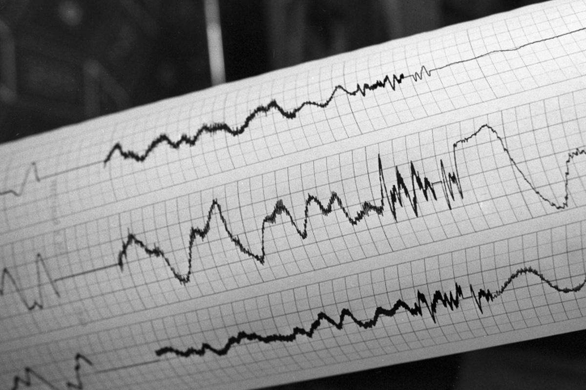 У берегов Японии произошло землетрясение