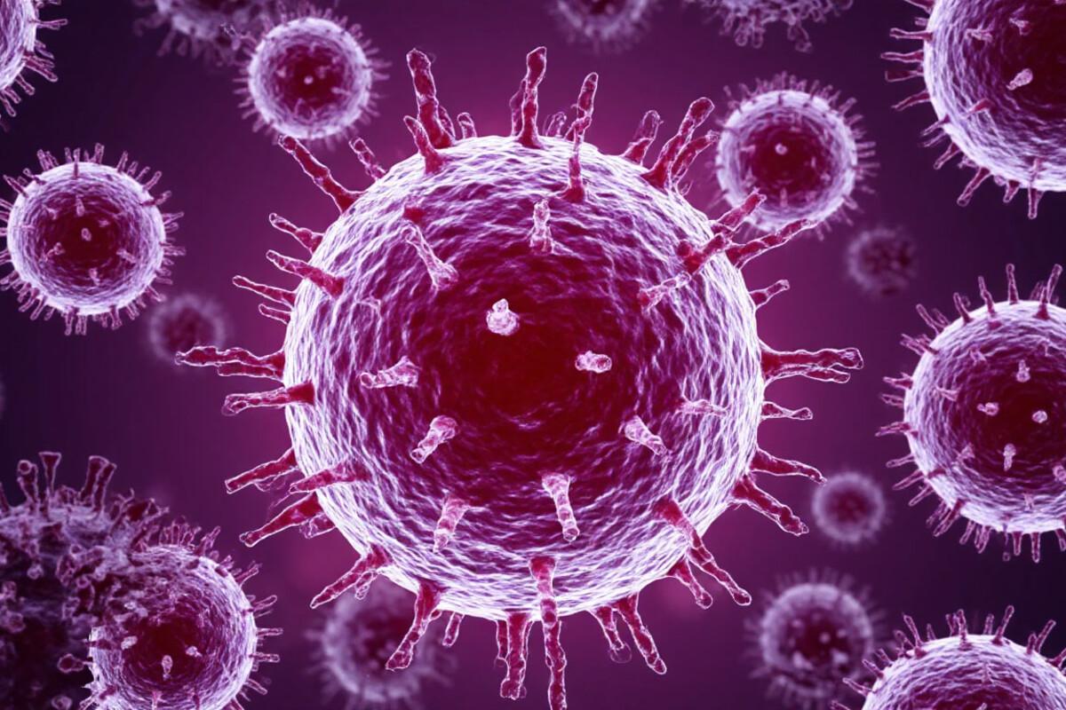 Ранней осени не будет, простуды тоже: вирусолог из Новосибирска успокоил жителей