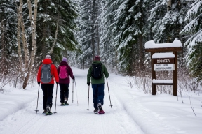 В Финляндии задержали туристов из ФРГ, которые дважды пересекли границу с РФ