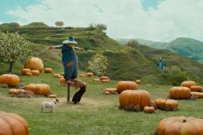 Названы самые успешные фильмы в российском кинопрокате в 2025 году