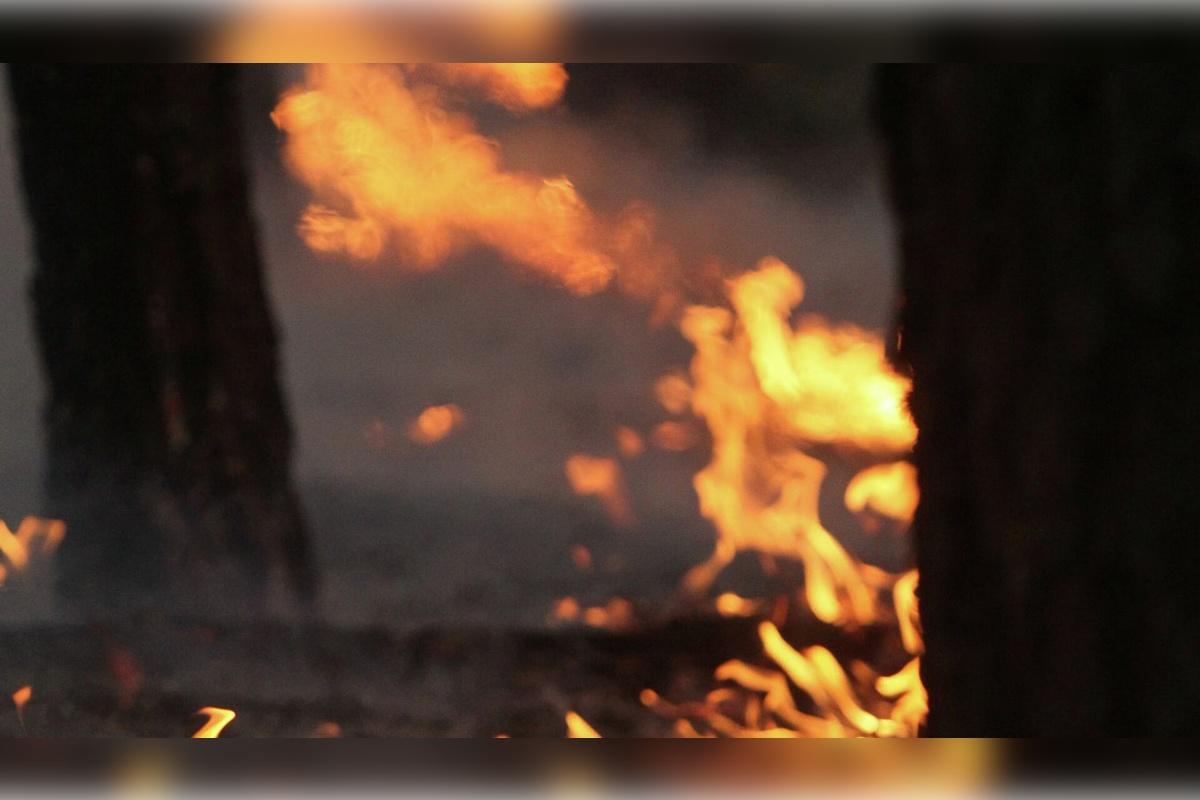 Житель Липецка уснул с ногами в костре и попал в реанимацию