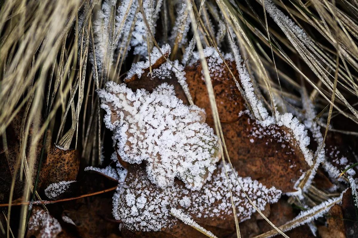 Вильфанд спрогнозировал заморозки в европейской части России