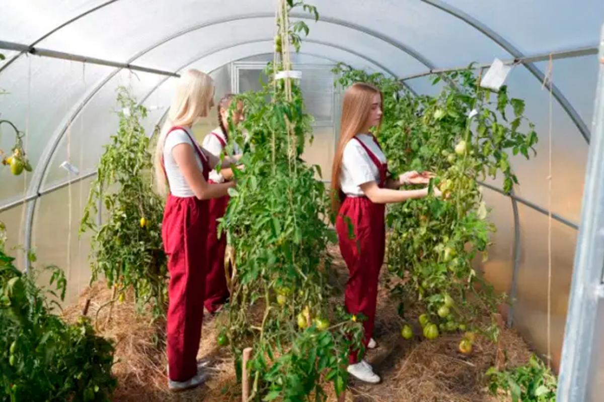 В одной из школ Мордовии появились агротехнические классы