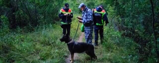 В Саратовской области отыскали заблудившегося в Тинь-Зине подростка