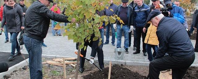 Соколов во время субботника посадил деревья в парке на улице Клубная