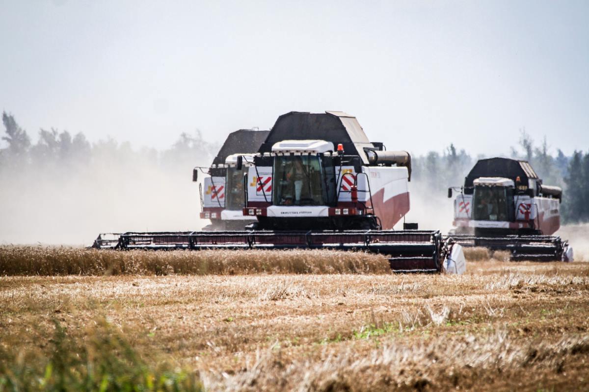 Липецкая область заняла второе место в России по объёмам отправки зерна железной дорогой