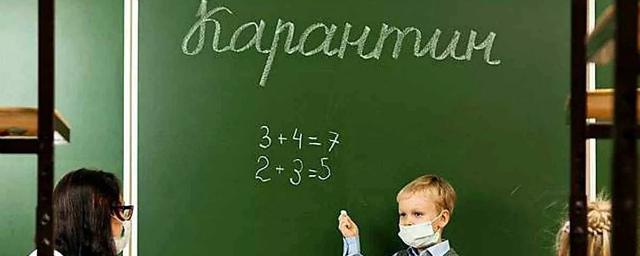 314 классов в новосибирских школах ушли на карантин из-за COVID-19