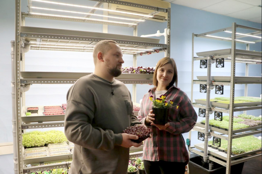 Рукола, базилик, горох и горчица – житель Новосибирска развивает прибыльный бизнес на микрозелени с помощью соцконтракта