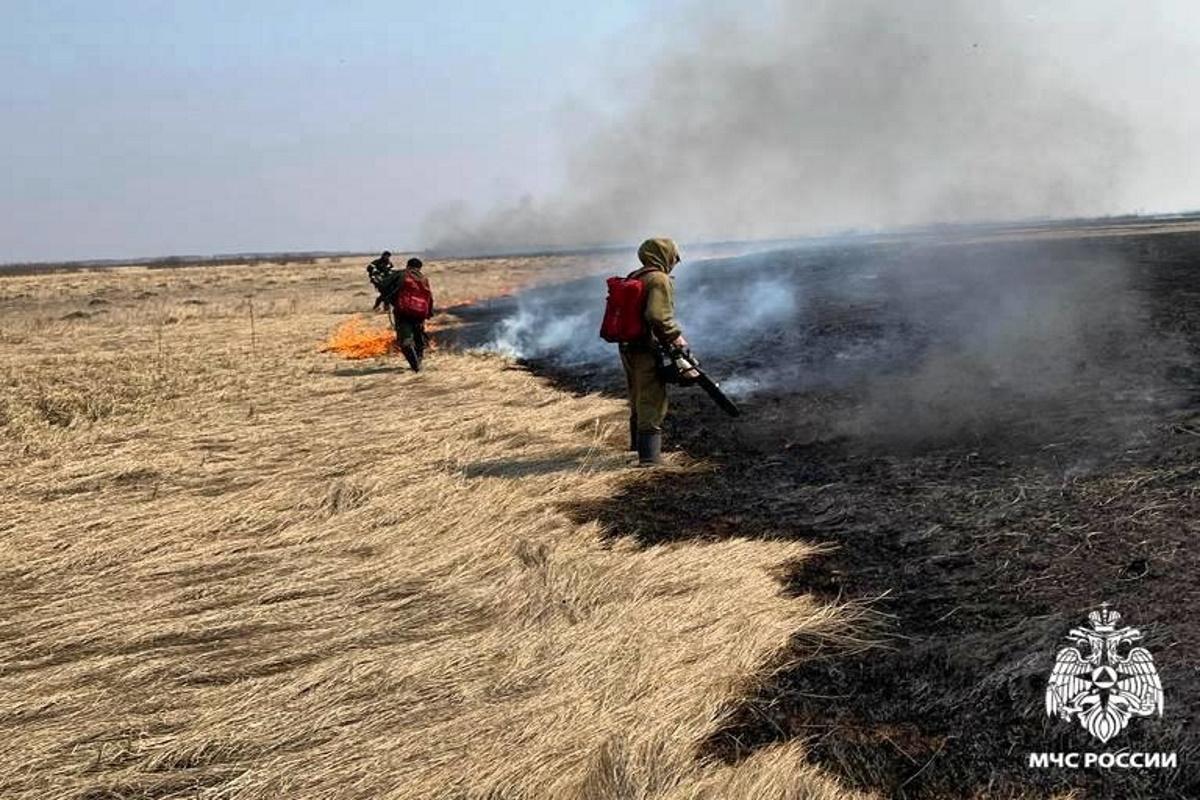 ГУ МЧС по Новосибирской области: за минувшую неделю число пожаров в регионе увеличилось в 5 раз