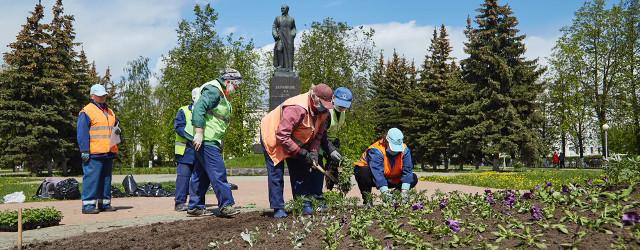 В Дзержинске приступили к высадке цветов в клумбы