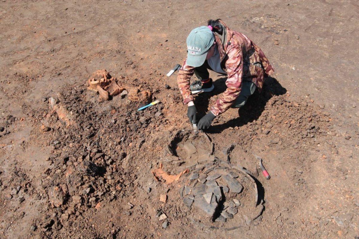 Свыше 600 артефактов, датируемых I–II веками нашей эры, извлекли из земли археологи в Адыгее