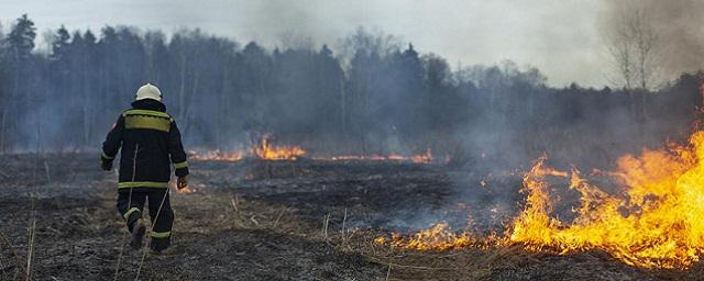 Для тушения пожара в Рязанской области дополнительно направили московских пожарных