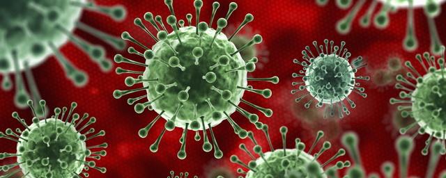 В Красноярском крае выявили 102 случая коронавируса за сутки