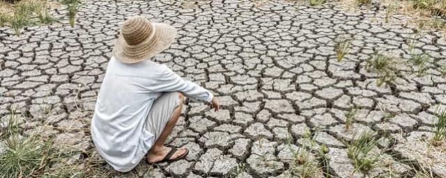 Климатолог: Лето 2021 года может оказаться аномально сухим