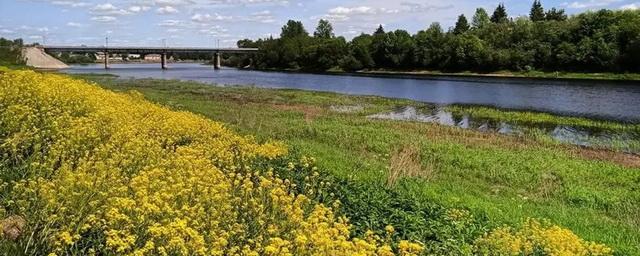 В Новгородскую область придёт жара до +30 градусов