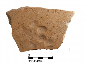 На Херсонесе во время раскопок археологи обнаружили изделия с отпечатками кошачьих лапок