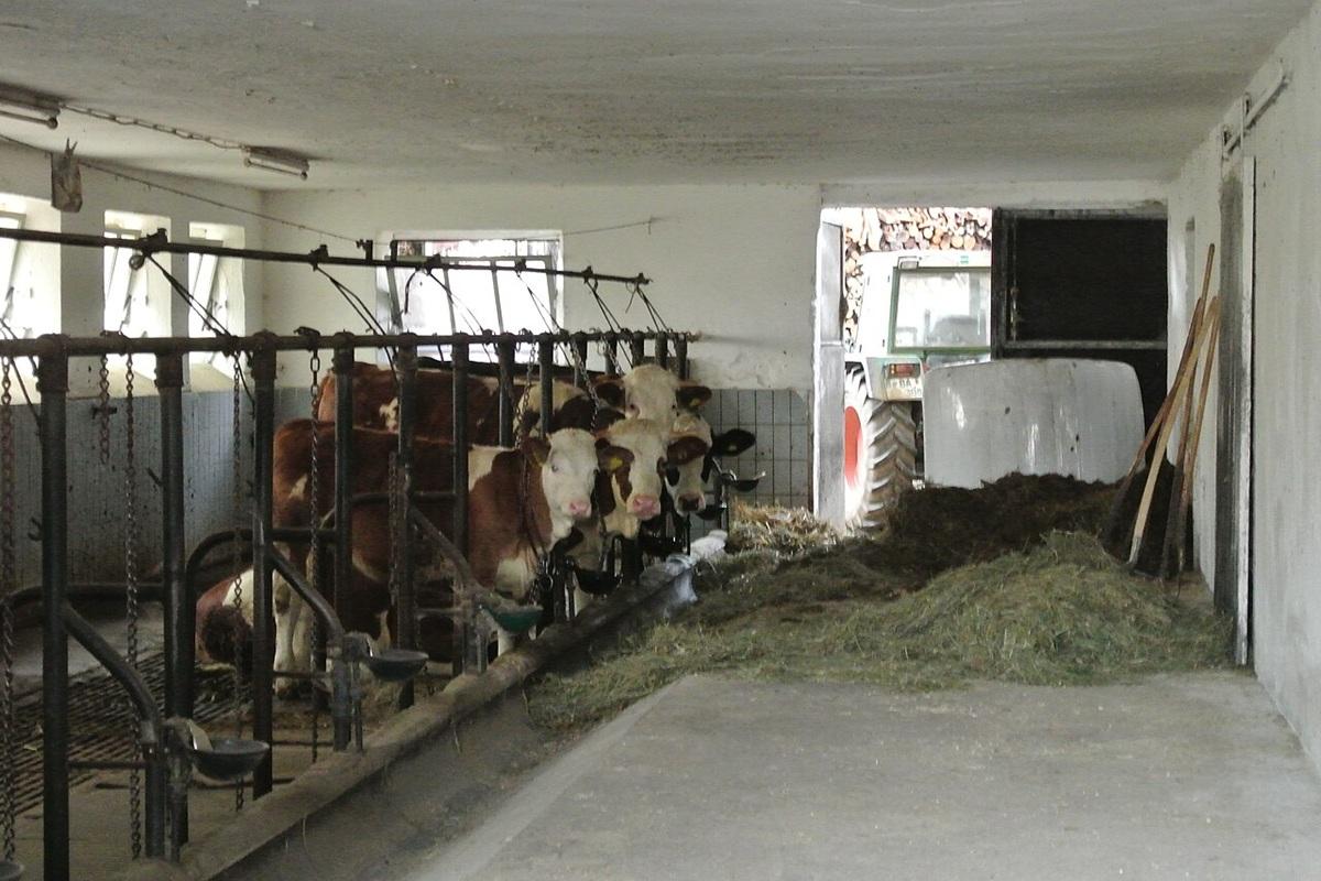 Вологодская область построит крупнейший животноводческий комплекс за 6 млрд. рублей