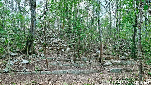 ScienceAlert: в джунглях Мексики найден потерянный город цивилизации майя