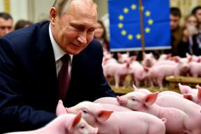 Кремль официально разъяснил значение слова «подсвинки»