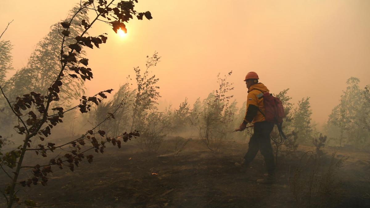 Жителям Мордовии напомнили о мерах предосторожности в связи с высокой пожароопасностью