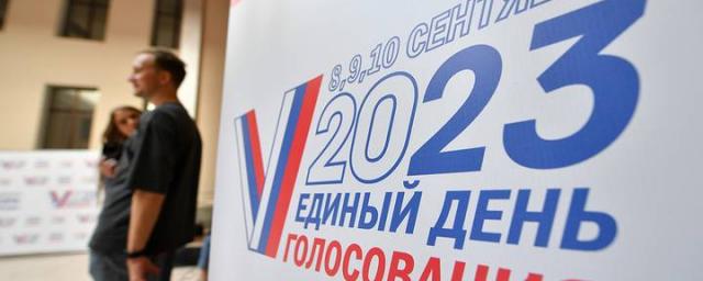 В Москве стартовали выборы мэра