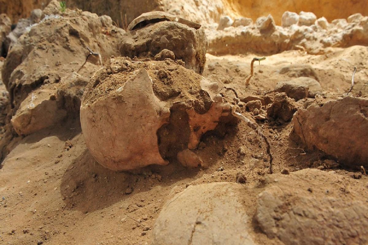 В Китае обнаружили останки нового вида человека с большим мозгом