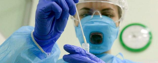Два новых случая заражения коронавирусом выявили специалисты в КБР