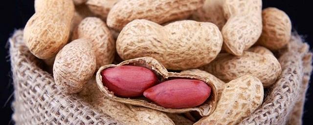 Ученые выяснили, что арахис увеличивает количество полезных бактерий в кишечнике