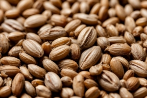 Калининградская область экспортировала более 1,4 млн тонн зерна за 10 месяцев 2025 года