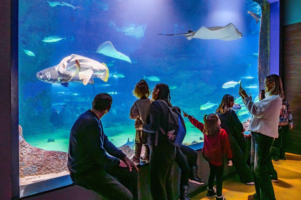 Собянин: свыше 18 млн человек побывали в «Москвариуме» за 10 лет его работы