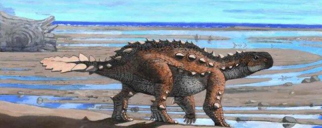 Чилийский анкилозавр Стегурос эленгассен имел режущий хвост с семью лезвиями