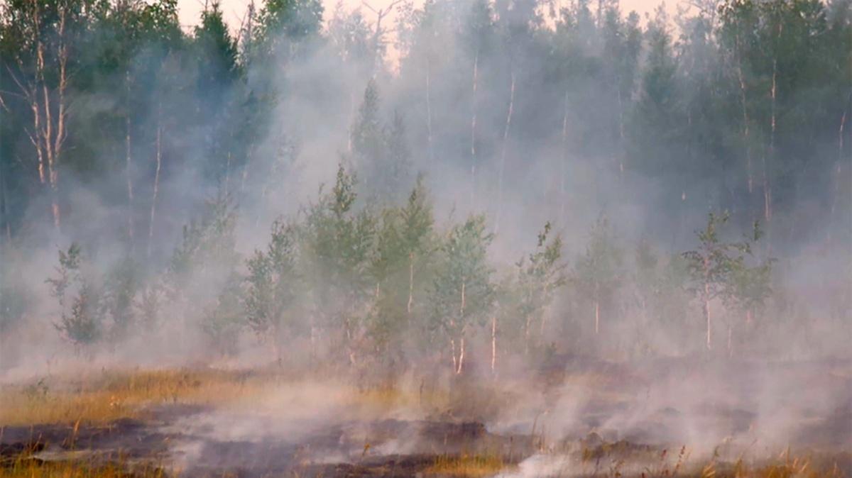 В Якутии пропавший с места тушения пожара 10 июля доброволец нашелся живым