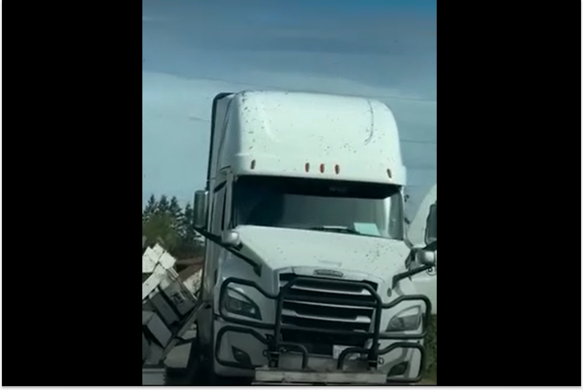 В США после аварии грузовика на свободу вырвались 250 млн пчел